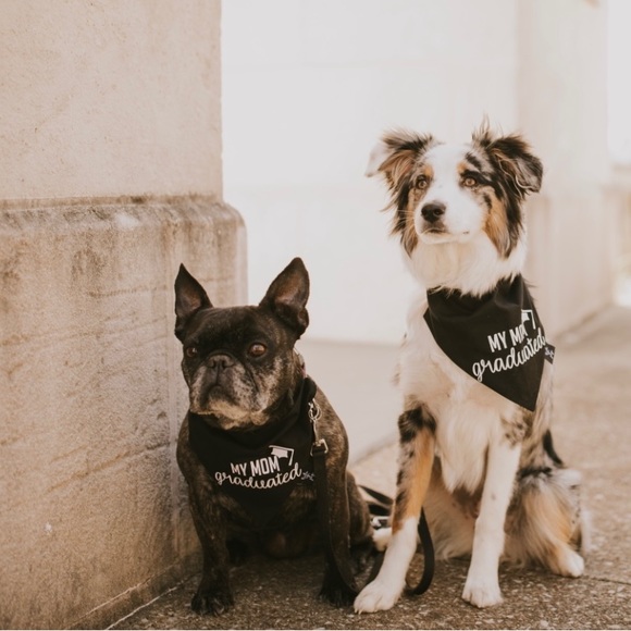 My Mom/Dad Graduated Over The Collar Dog Bandana - Picture 3 of 4